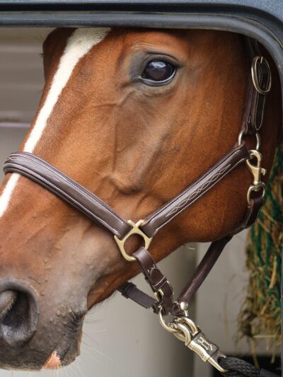 Transport & Logistics