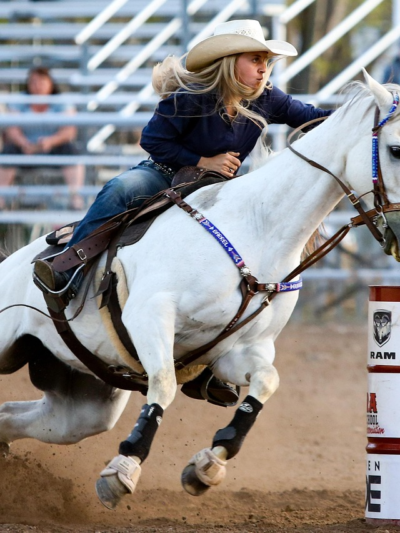 Event Management, Media & Promotion