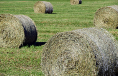 Feed, Hay & Farm Supply Sample Listing