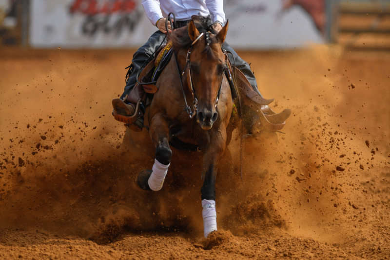 Training & Coaching Sample Listing