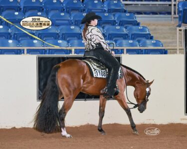 Storm Quarter Horses