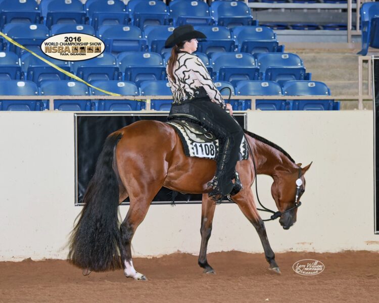 Storm Quarter Horses